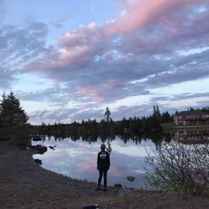 Meet your Posher, Abigail